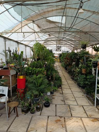 عکس گلخانه معینی