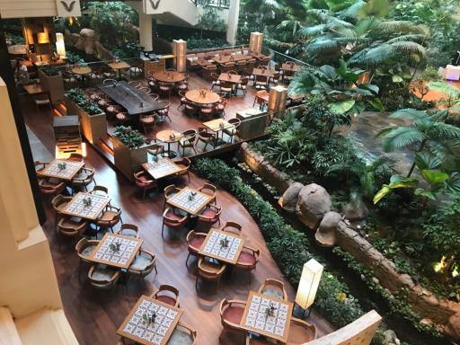 رستوران لوتوس