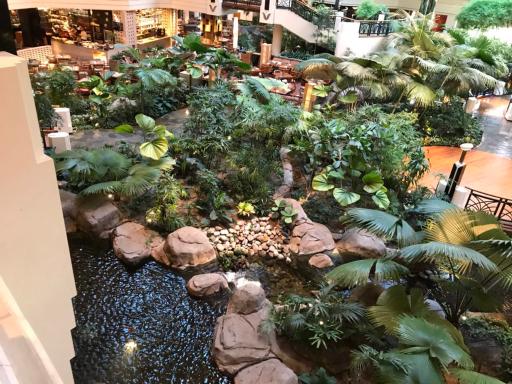 رستوران لوتوس