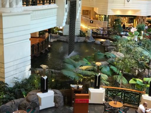 رستوران لوتوس