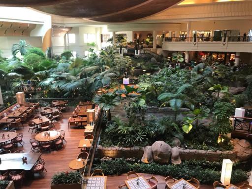 رستوران لوتوس