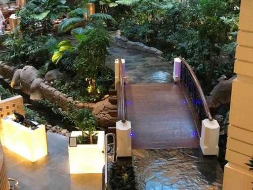 رستوران لوتوس