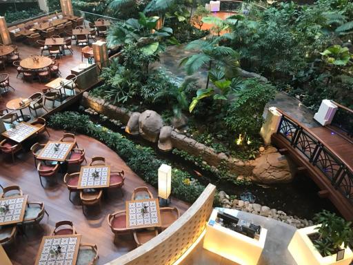 رستوران لوتوس