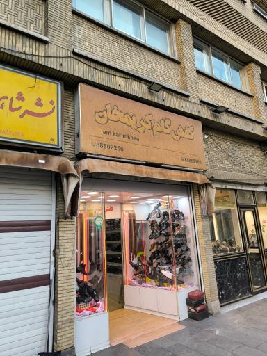 عکس کفش گام