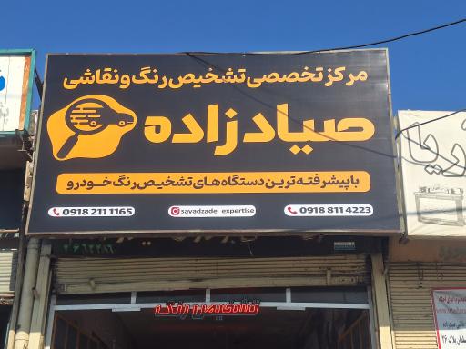 تشخیص رنگ‌ و نقاشی صیادزاده