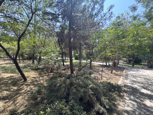 عکس بوستان جانبازان