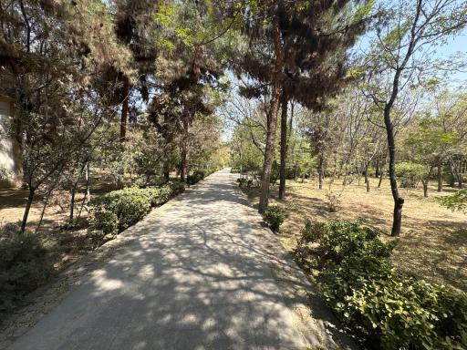 عکس بوستان جانبازان