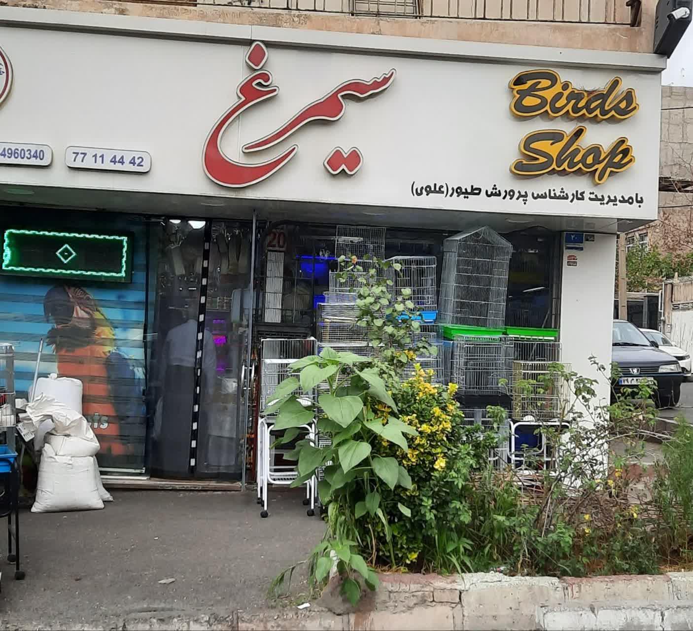 عکس فروشگاه سیمرغ
