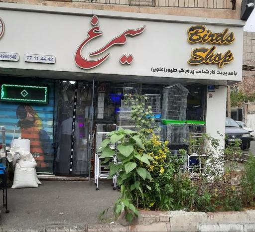 عکس فروشگاه سیمرغ