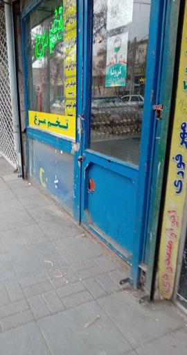 عکس فروش تخم مرغ