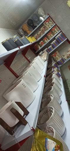 عکس گلکده تک