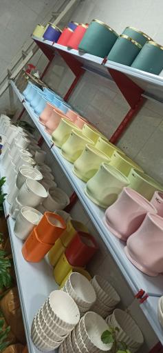 عکس گلکده تک