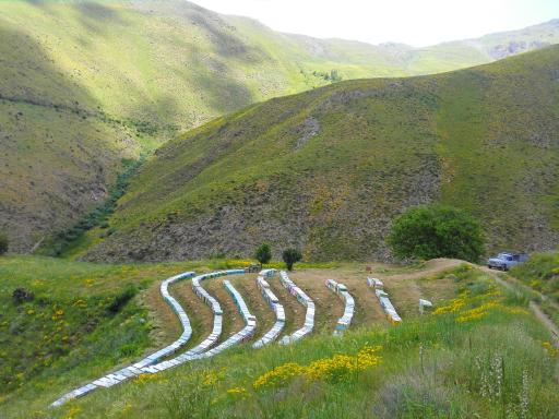 مرکز پخش عسل گلشهد کوردستان