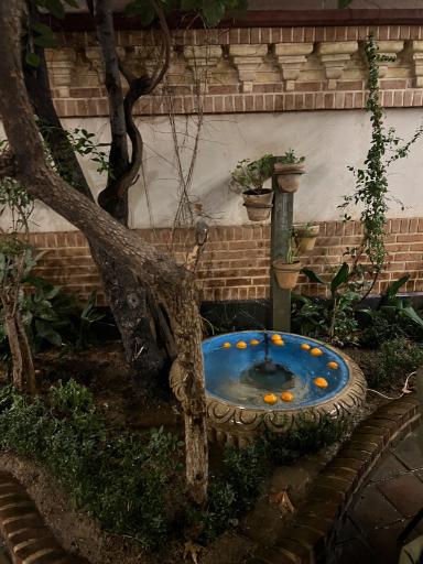 عکس کافه رستوران عمارت آویژه