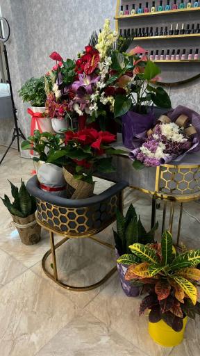 عکس زیبا سرای تخصصی عسل