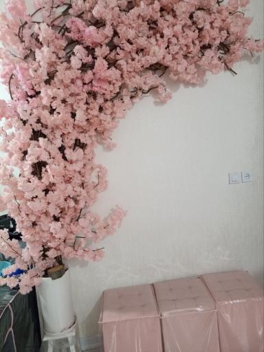 عکس سالن زیبایی کمند