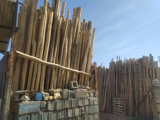 عکس چوب فروشی شجاع