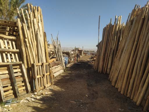 عکس چوب فروشی شجاع