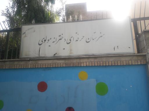عکس هنرستان دخترانه دولتی فنی حرفه ای مولوی
