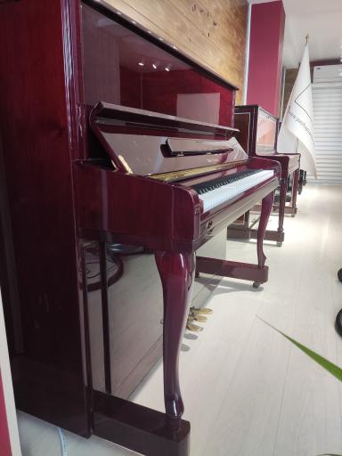 عکس گالری پاشا پیانو