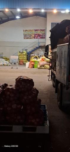 عکس بارفروش برادران لطفی