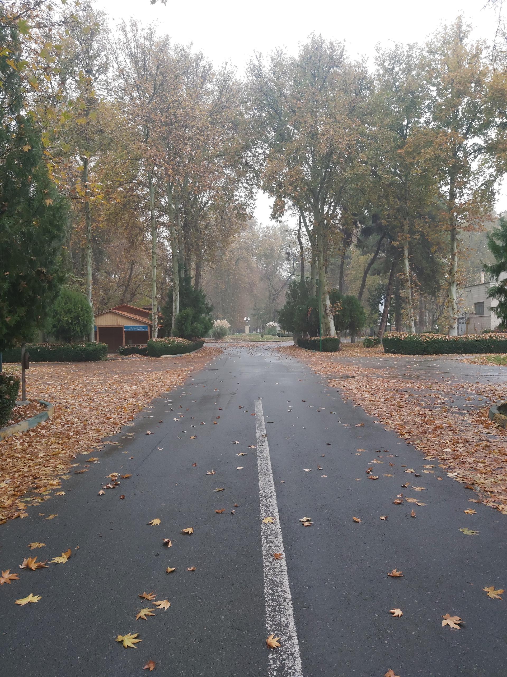 عکس گروه مهندسی ماشینهای کشاورزی