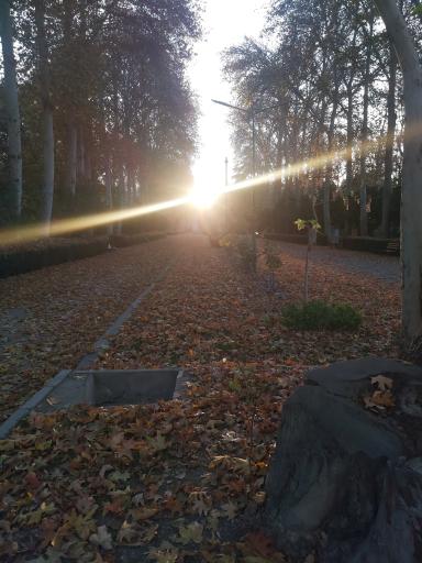 عکس گروه مهندسی ماشینهای کشاورزی