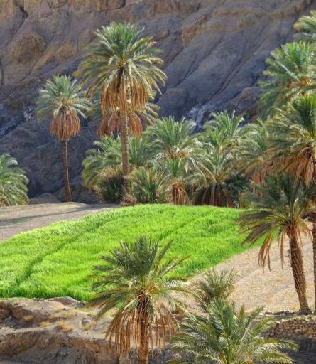 عکس پارک ظفر