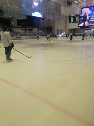 عکس ورودی شماره ۴ ایرانمال (باغ ماهان)