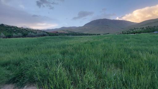 عکس تفرجگاه چشمه قلعه