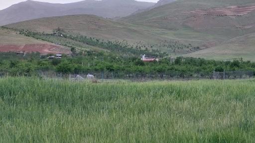 عکس تفرجگاه چشمه قلعه