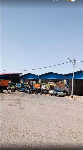 عکس بارفروش برادران لطفی