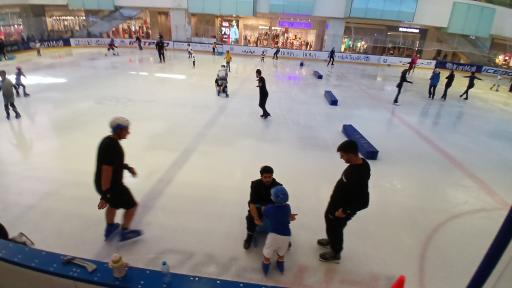 عکس ورودی شماره ۴ ایرانمال (باغ ماهان)