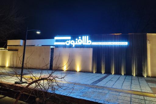 عکس طلافنون
