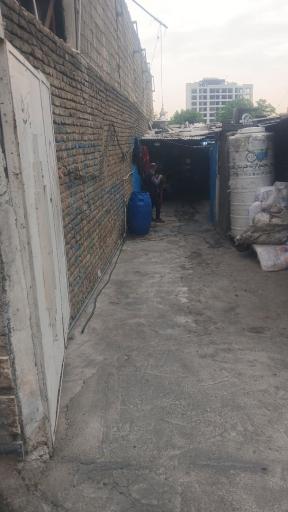 عکس دام زنده کریمی