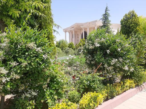 عکس تالار رونیکا پالاس