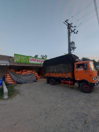 عکس برنجکوبی حسن فلکی