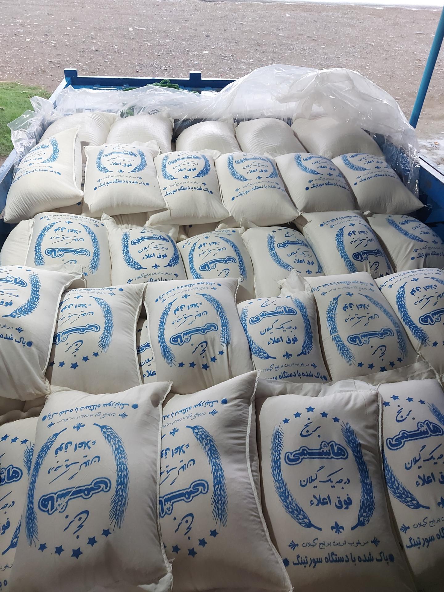 عکس برنجکوبی حسن فلکی