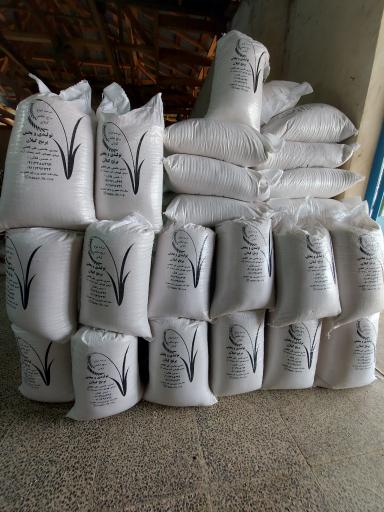 عکس برنجکوبی حسن فلکی