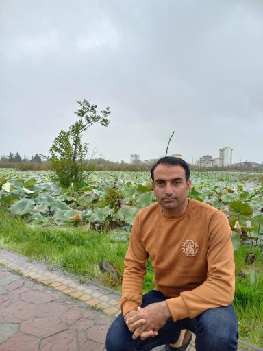 عکس بوستان فجر (نیلوفر آبی)