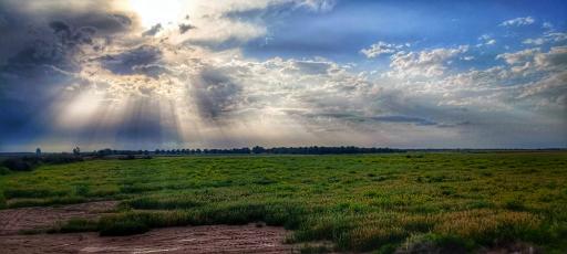 عکس رودخانه جراحی