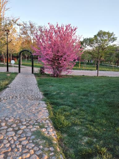 عکس بوستان رجا