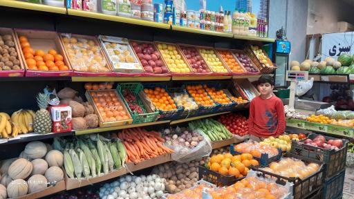 عکس میوه شب خیز