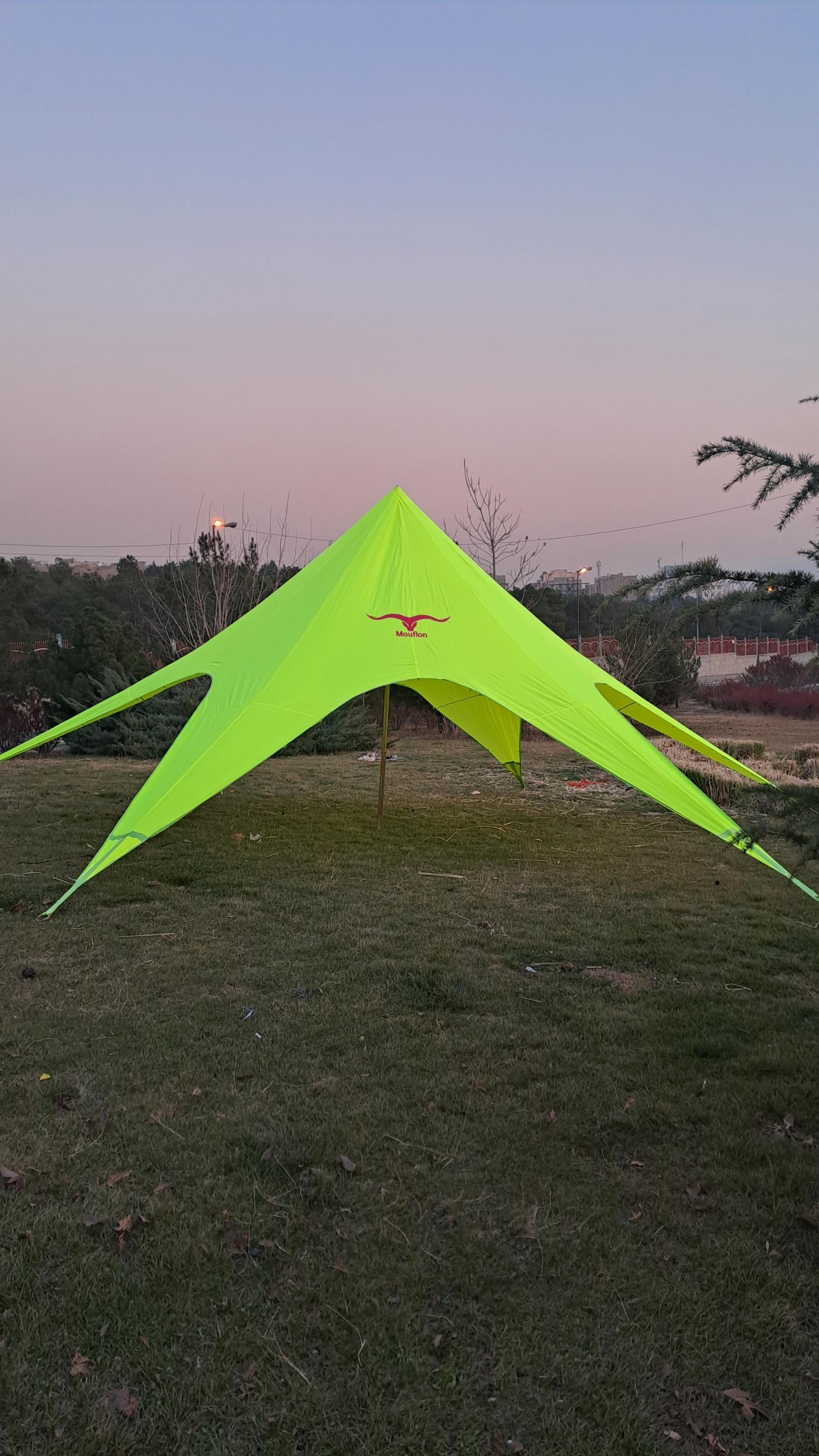 عکس فروشگاه موفلان