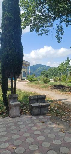 بوستان فجر (نیلوفر آبی)