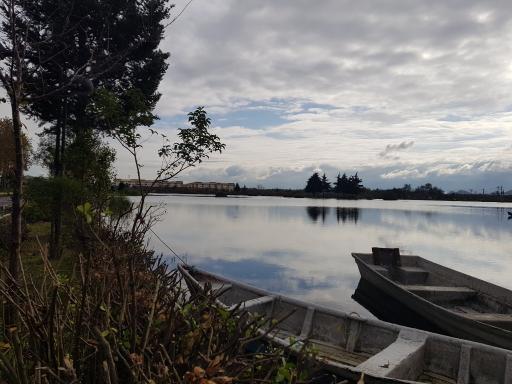 عکس بوستان فجر (نیلوفر آبی)