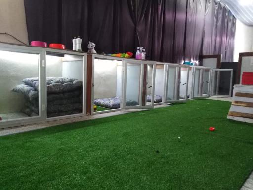 عکس پانسیون سگ مهد سگ پودی