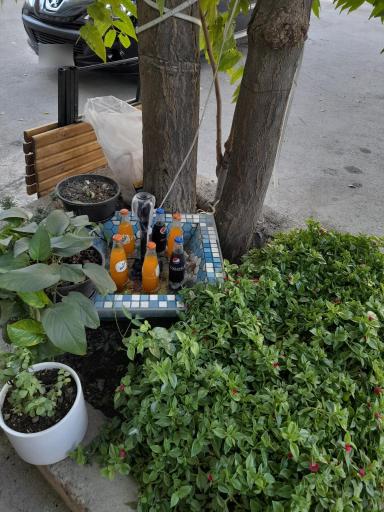 عکس چای خانه فروغ