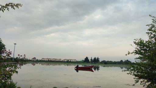 عکس بوستان فجر (نیلوفر آبی)