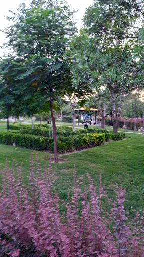 بوستان رجا